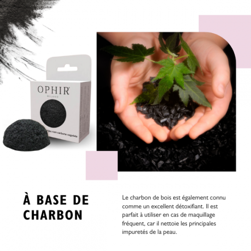 A-Base-de-Charbon